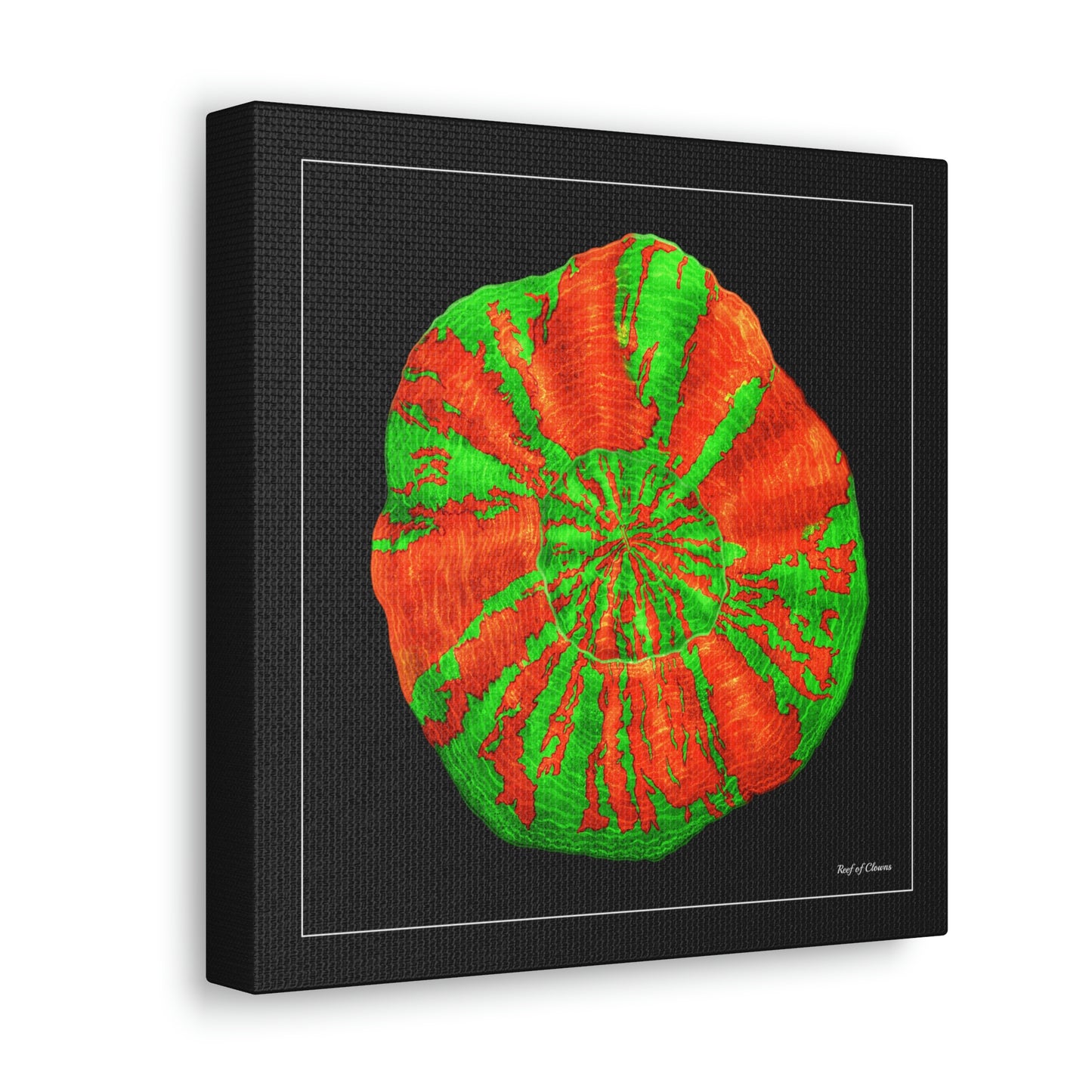 Bleeding Apple Scoly Coral (Canvas Art) - Reef of Clowns