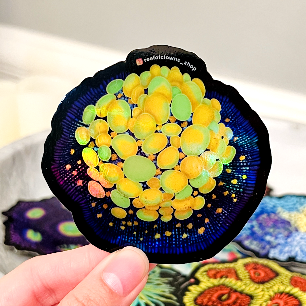 OG Bounce Mushroom Coral Sticker (Holographic) - Reef of Clowns