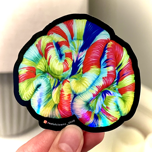 Trachyphyllia Coral Sticker (Holographic) - Reef of Clowns