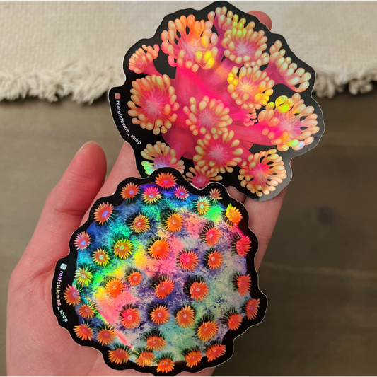 Golden Inferno Goniopora Sticker (Holographic) - Reef of Clowns