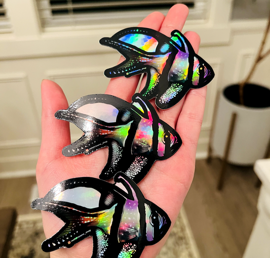 Benggai Cardinalfish (Holographic) - Reef of Clowns