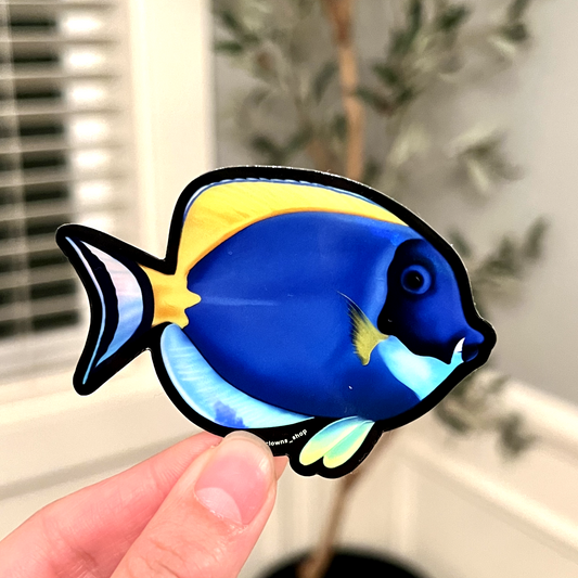 Powder Blue Tang (Holographic) - Reef of Clowns