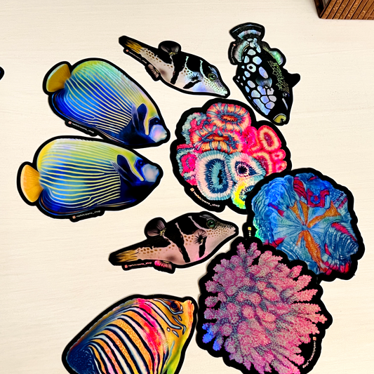 Ultra Rainbow Acantho Coral Sticker (Holographic) - Reef of Clowns