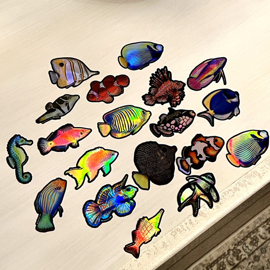 Powder Blue Tang (Holographic) - Reef of Clowns