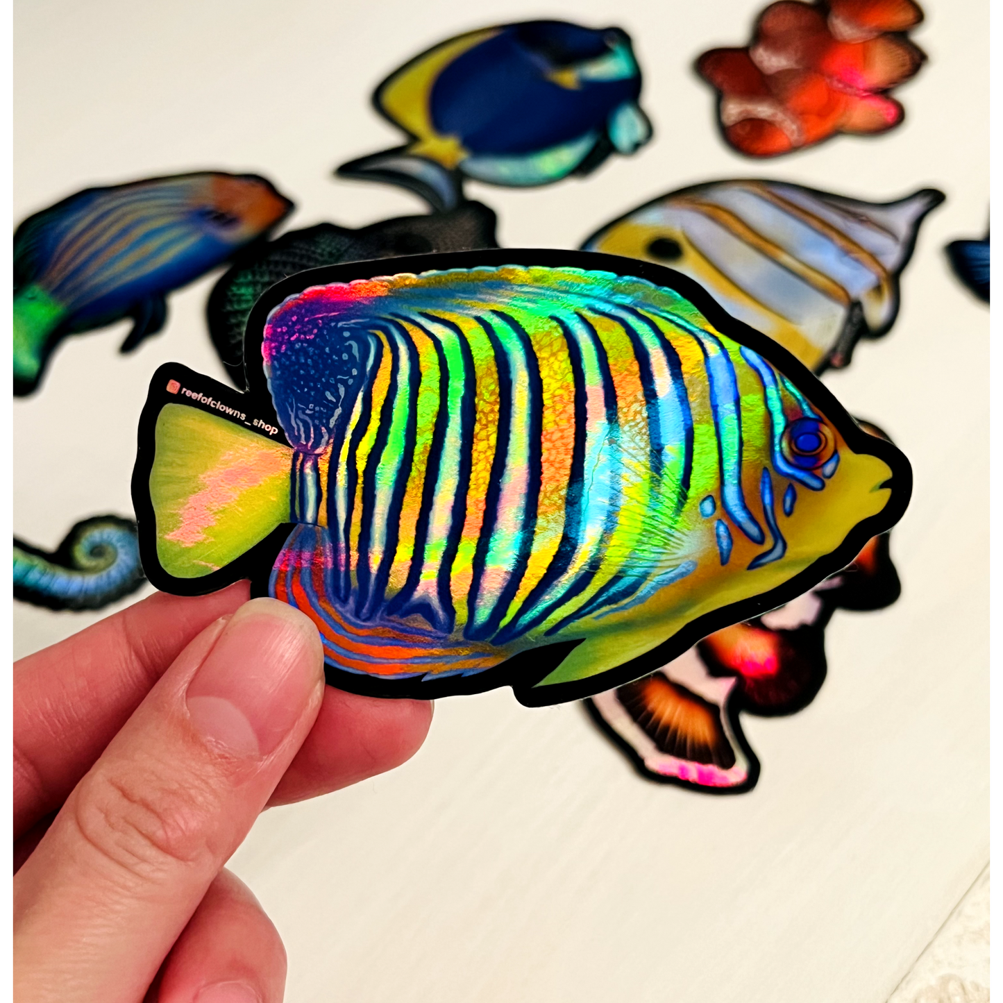 Regal Angelfish (Holographic) - Reef of Clowns