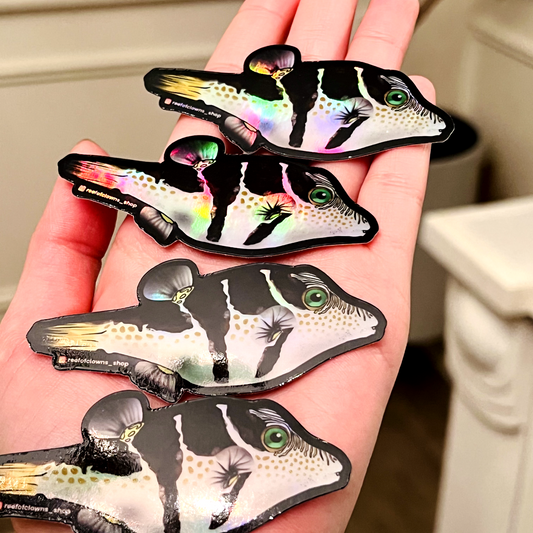 Saddle Valentini Puffer (Holographic) - Reef of Clowns
