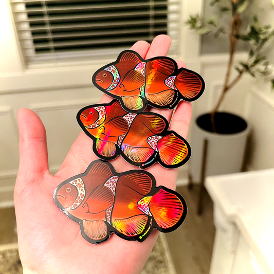 Maroon Clownfish (Holographic) - Reef of Clowns