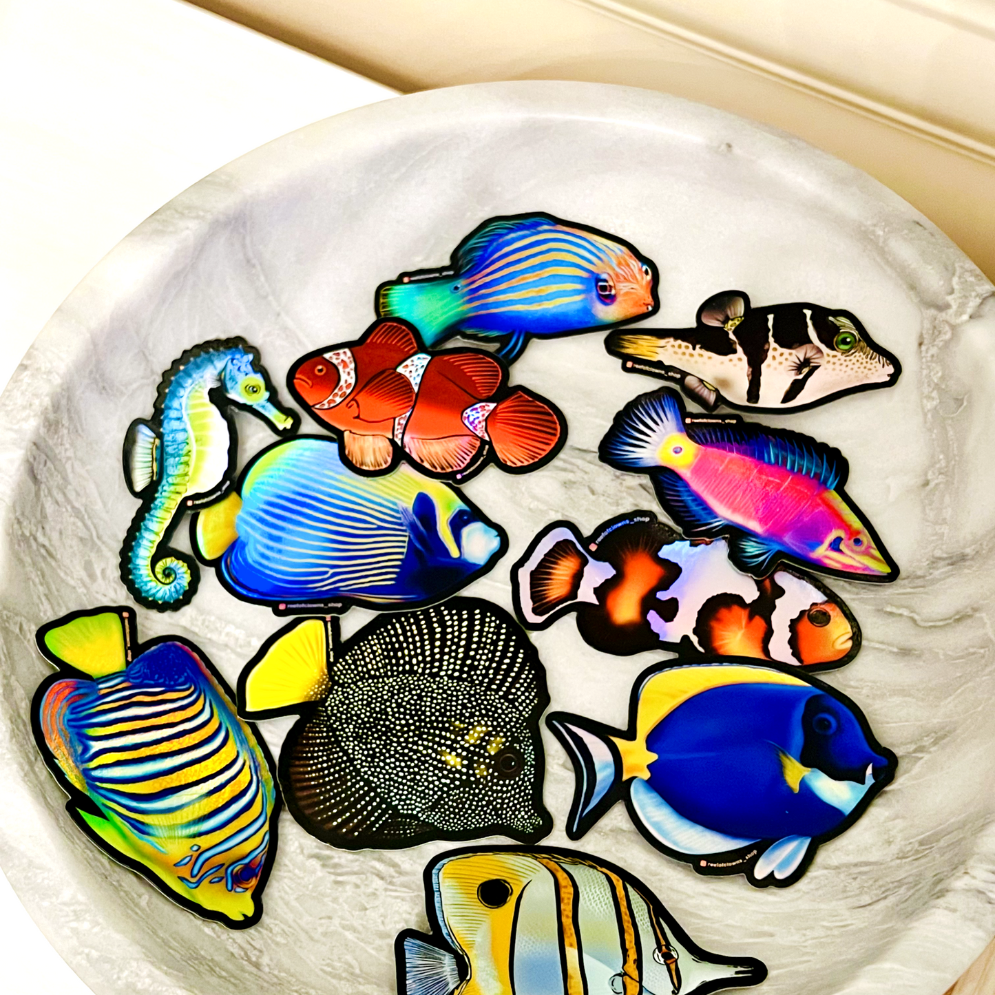 Six-line Wrasse (Holographic) - Reef of Clowns