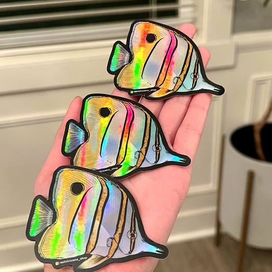 Copperband Butterflyfish (Holographic) - Reef of Clowns