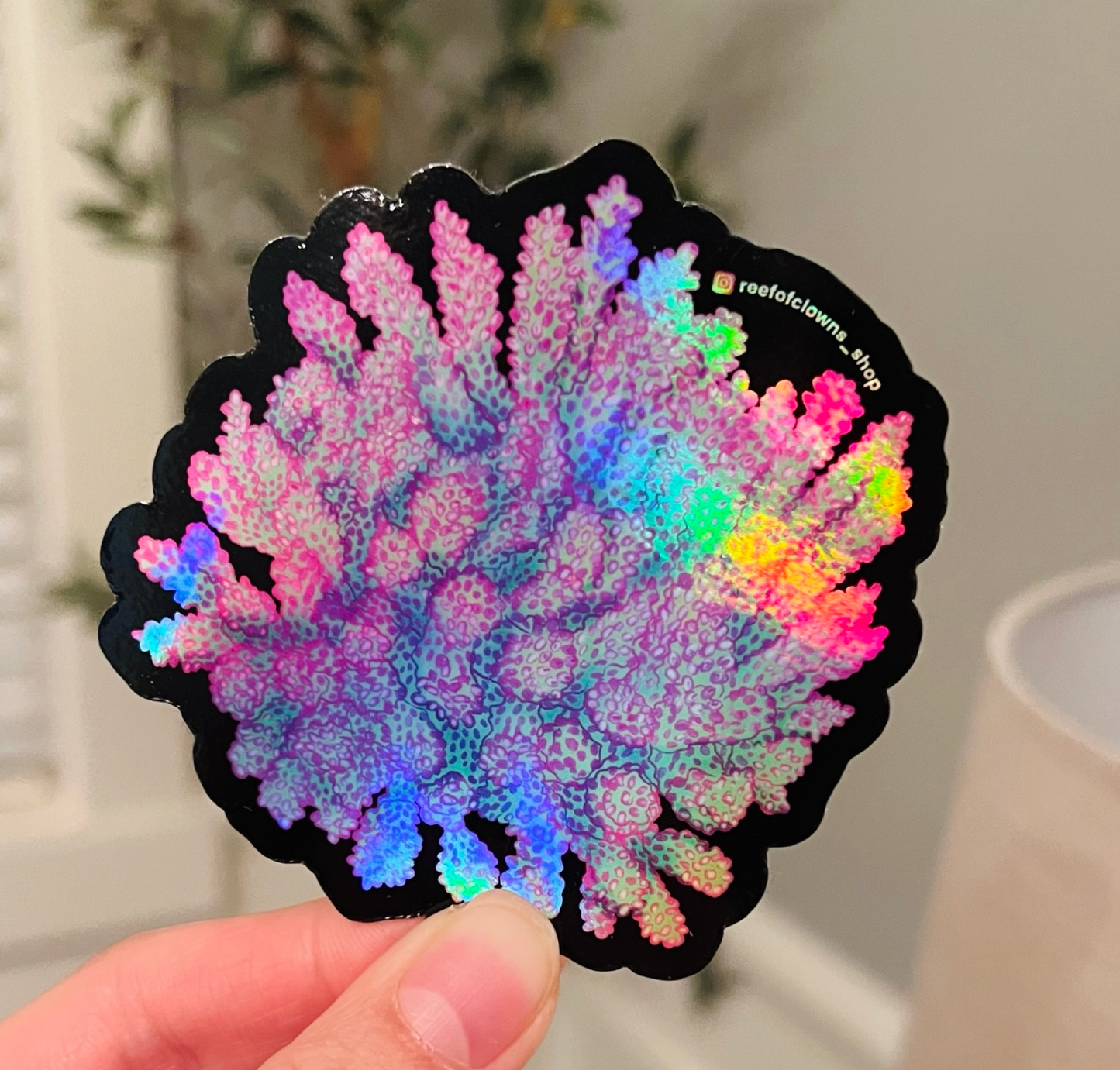 Strawberry Shortcake Acropora Sticker (Holographic) - Reef of Clowns