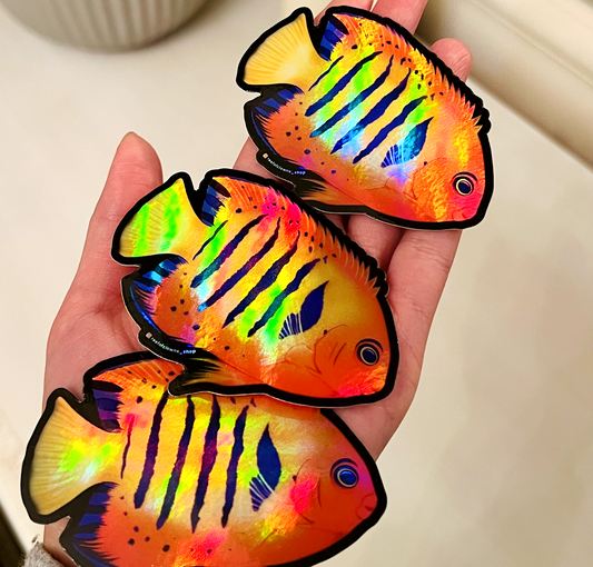 Flame Angelfish (Holographic) - Reef of Clowns