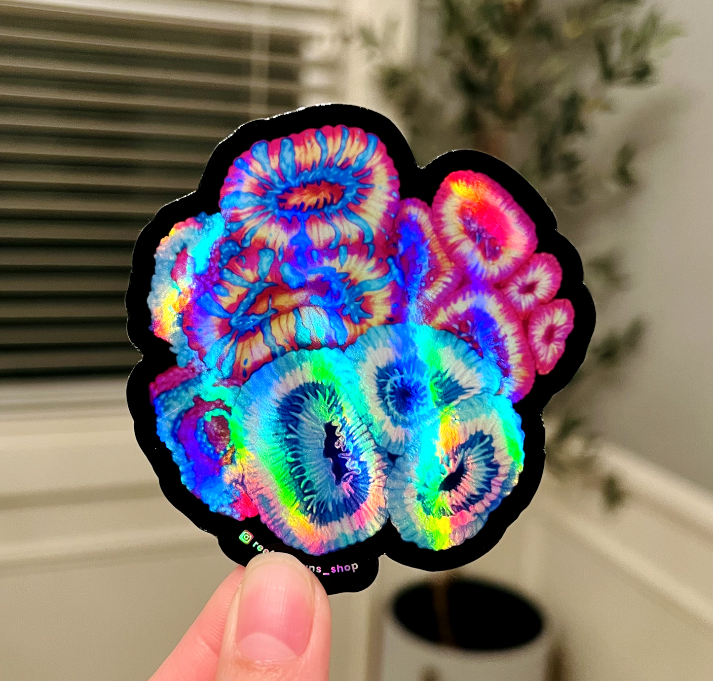 Acanthastrea Coral Garden Sticker (Holographic) - Reef of Clowns