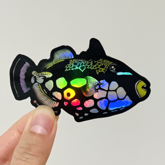 Clown Trigger Fish (Holographic) - Reef of Clowns