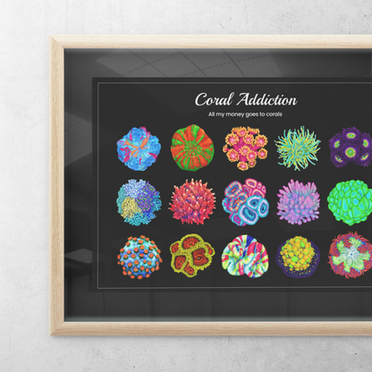 15 Hand-drawn Based Coral Poster (Horizontal) - Reef of Clowns