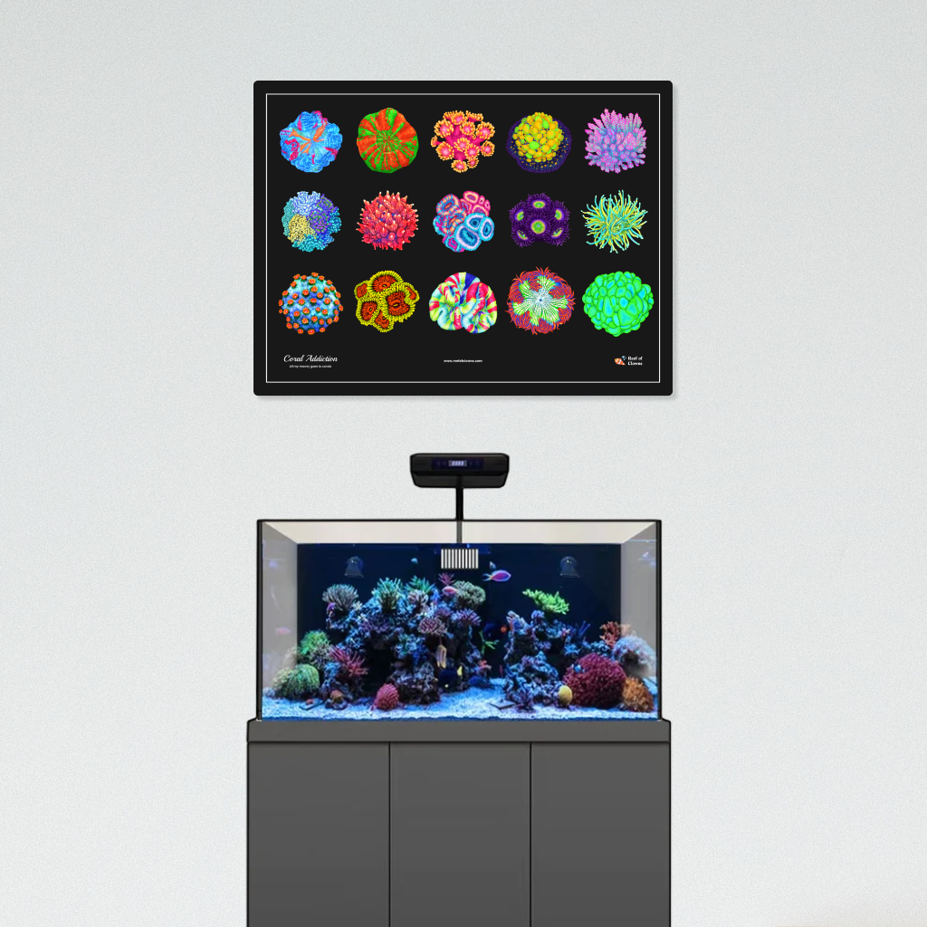 Coral Addiction UV Blacklight Tapestry - Reef of Clowns