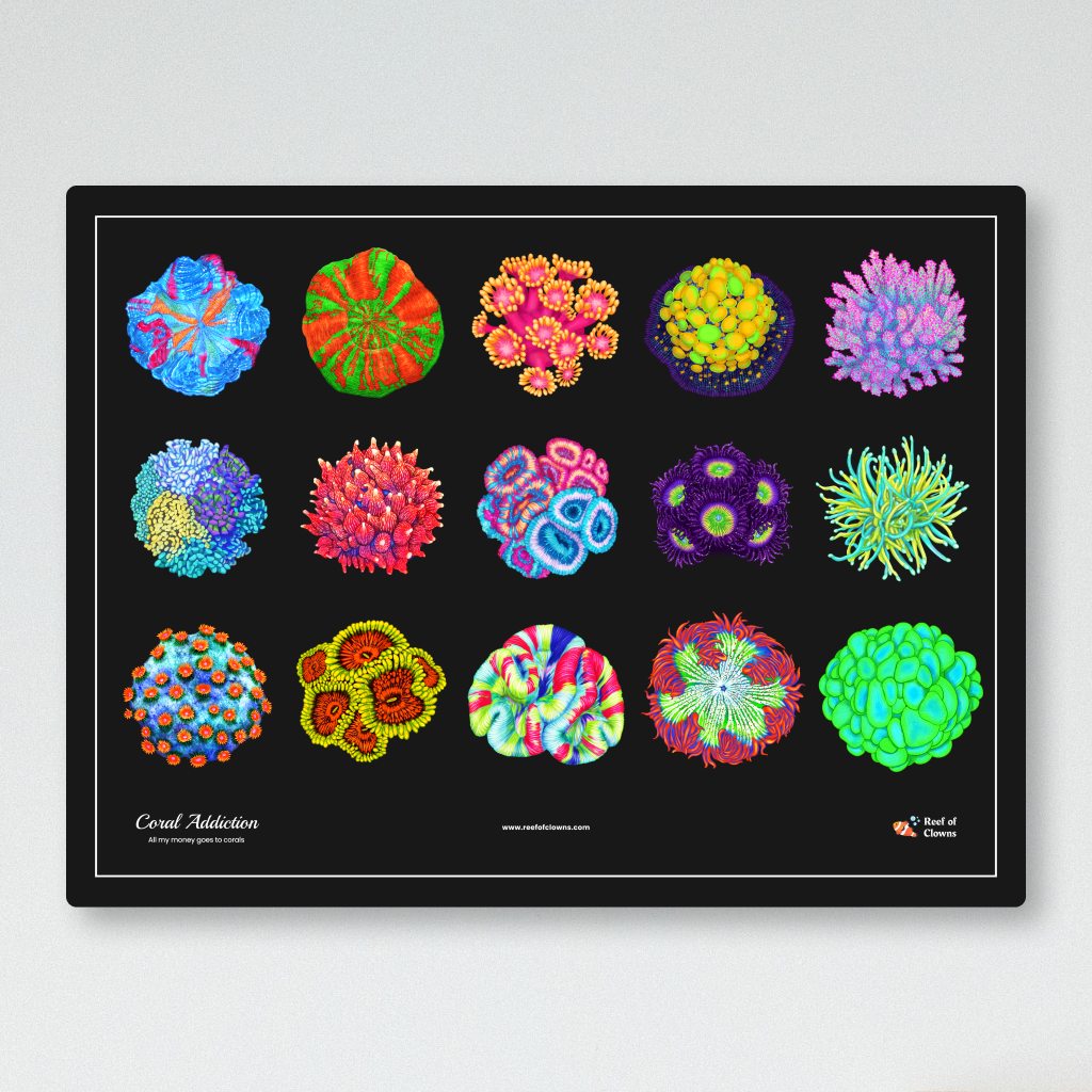 Coral Addiction UV Blacklight Tapestry - Reef of Clowns