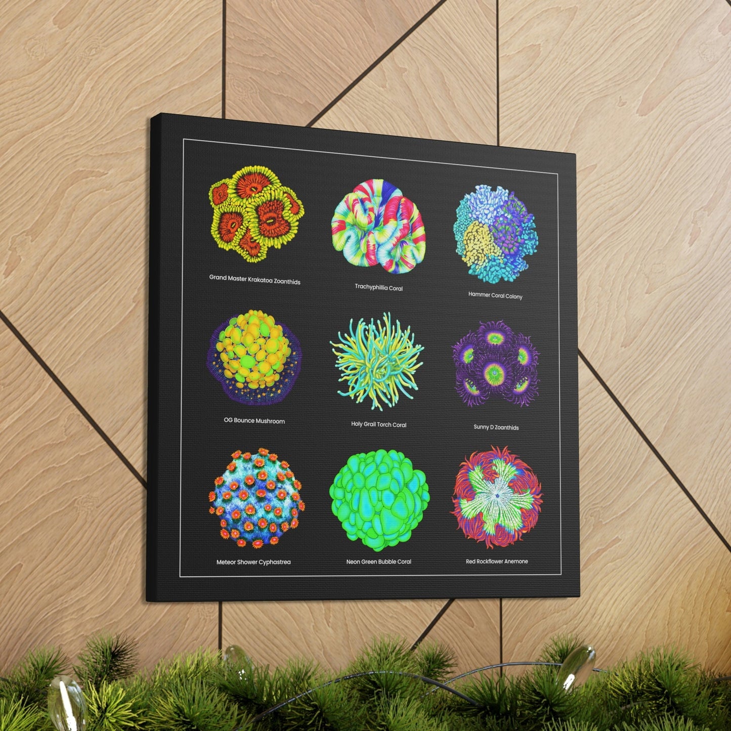 Coral Collection with Names v2 (Canvas Art) - Reef of Clowns