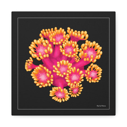 Golden Inferno Goniopora Coral (Canvas Art) - Reef of Clowns