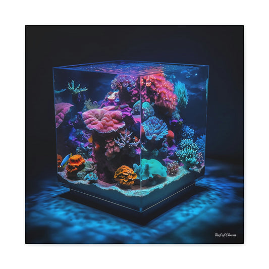 Mesmerizing Nano Reef Tank - Reef of Clowns