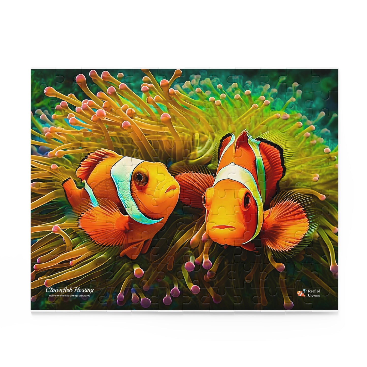Clownfish and Anemone Puzzle