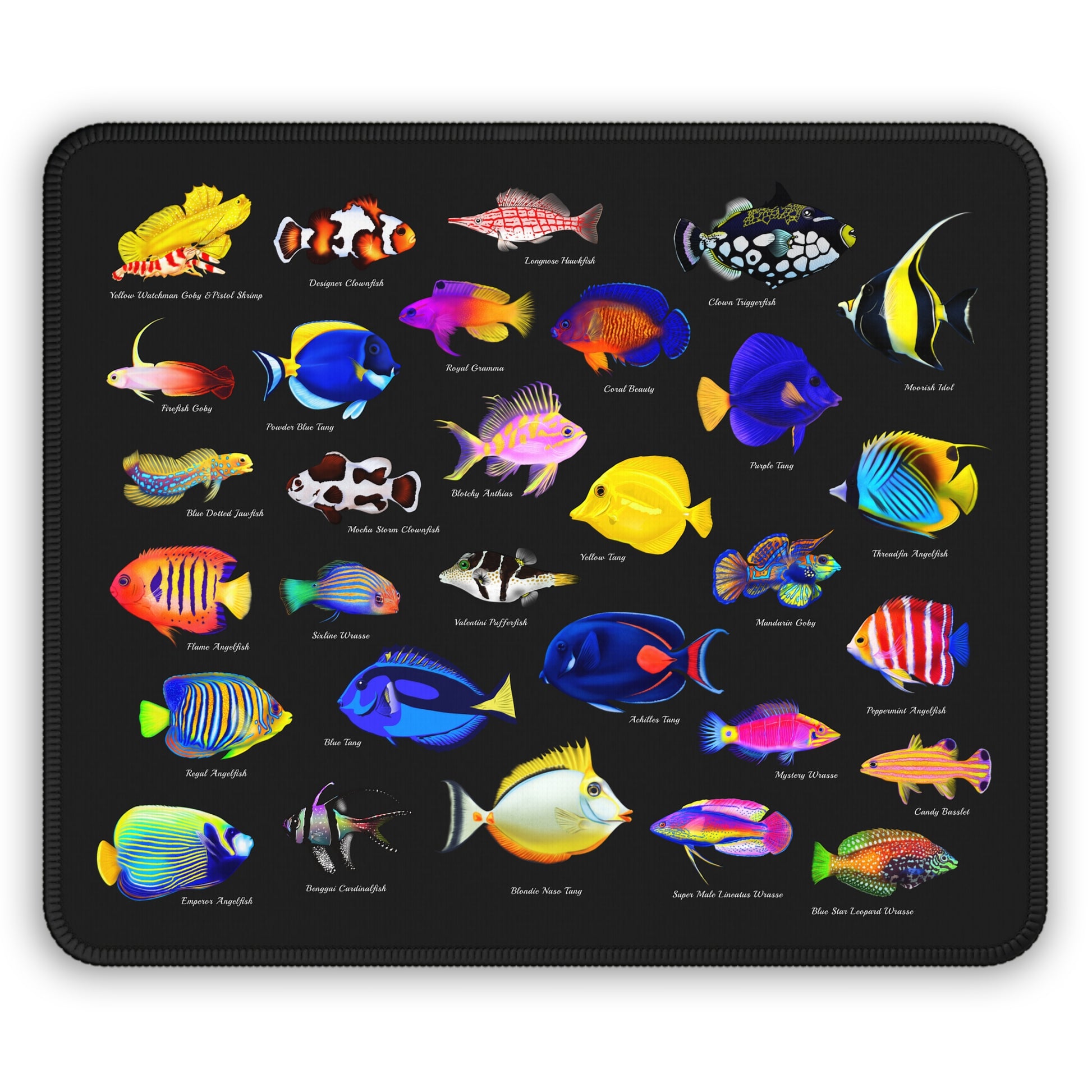 Saltwater Fish Collection - Reef of Clowns LLC