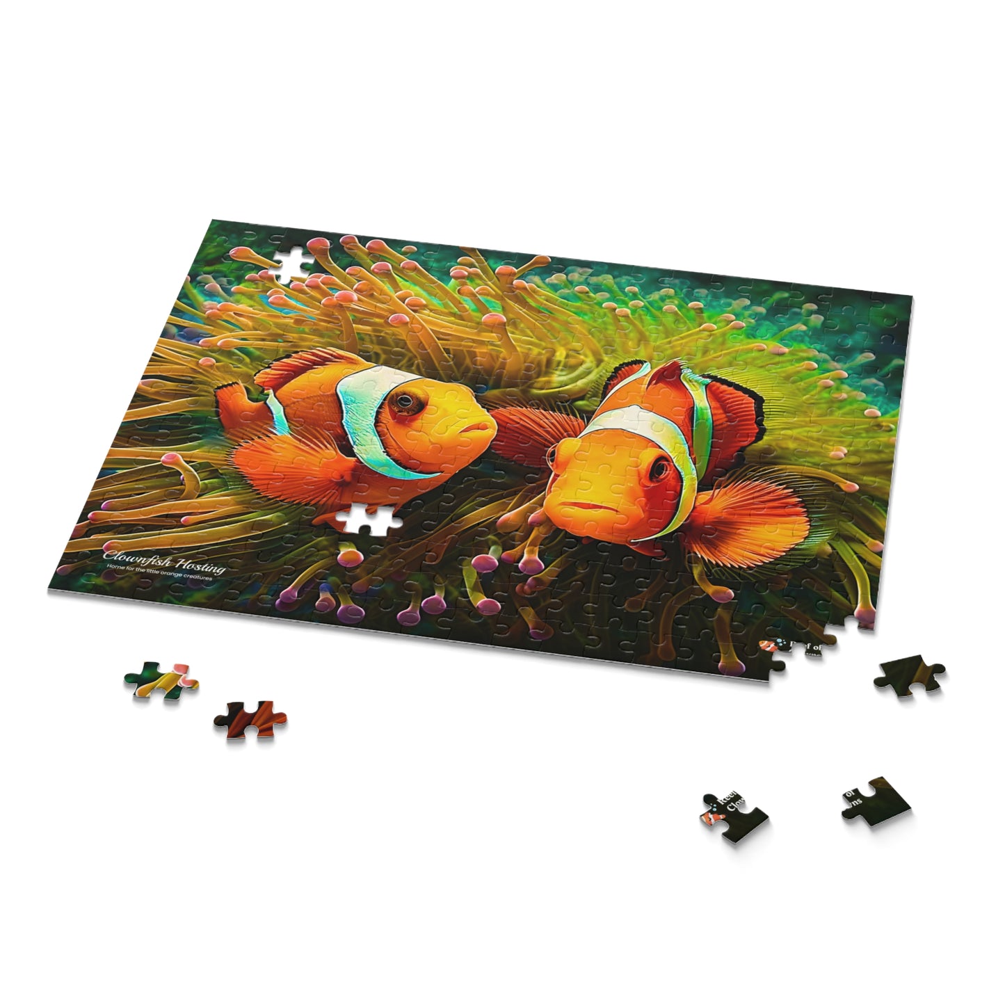 Clownfish and Anemone Puzzle