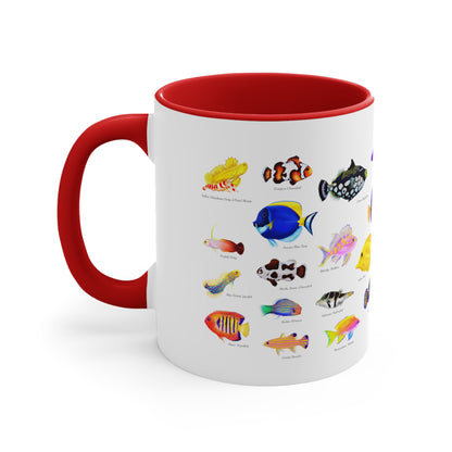 Coral Reef Fish Mug Cup