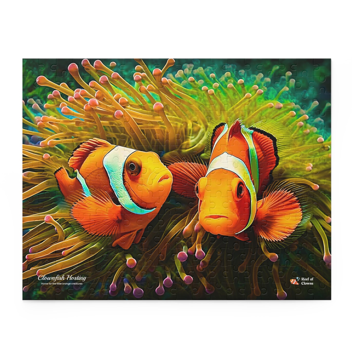 Clownfish and Anemone Puzzle