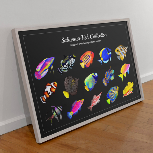 Horizontal Saltwater Fish Poster | Reef Tank