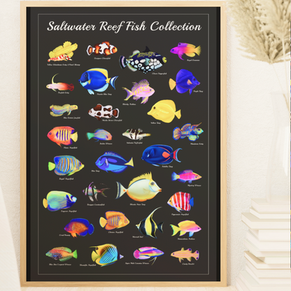 Saltwater Fish Identification Poster | Reef Tank