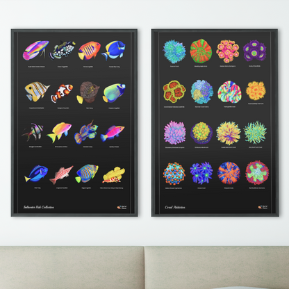Saltwater Fish Poster | Reef Tank