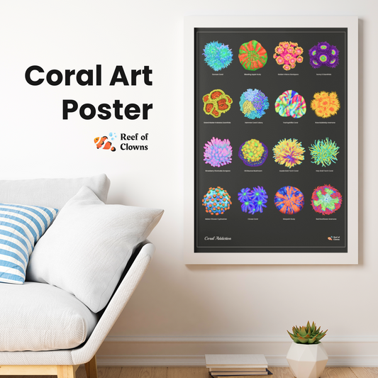 Vertical Vibrant Coral Poster | Reef Tank