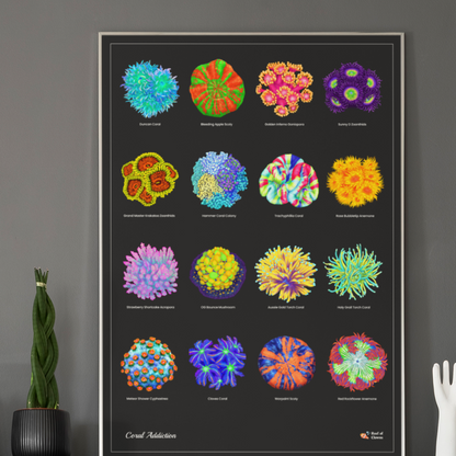 Vertical Vibrant Coral Poster | Reef Tank