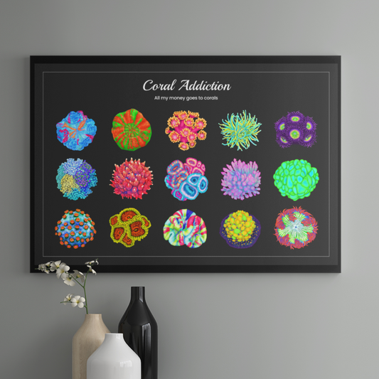 Horizontal Coral Fish Poster | Reef Tank