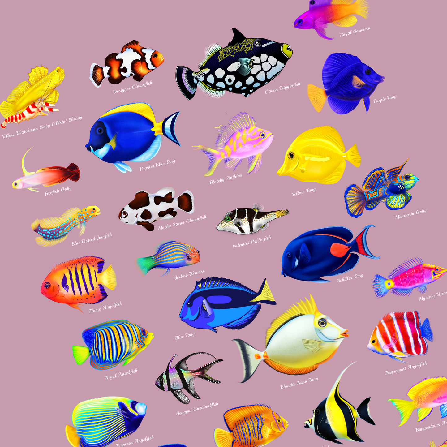 Just a Fish Person Premium Shirt