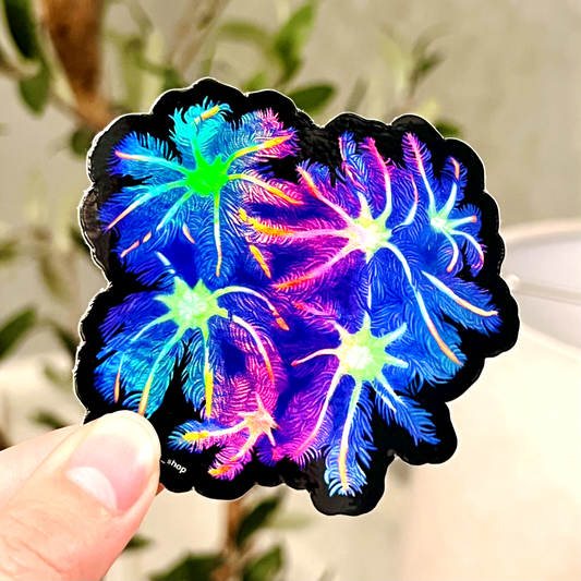 Cloves Coral Sticker (Holographic) - Reef of Clowns LLC