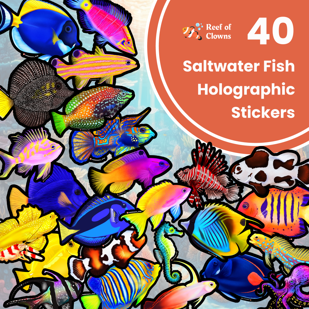 40 Holographic Saltwater Fish Sticker Pack - Reef of Clowns LLC