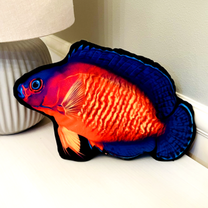 Coral Beauty Angelfish Pillow - Reef of Clowns LLC
