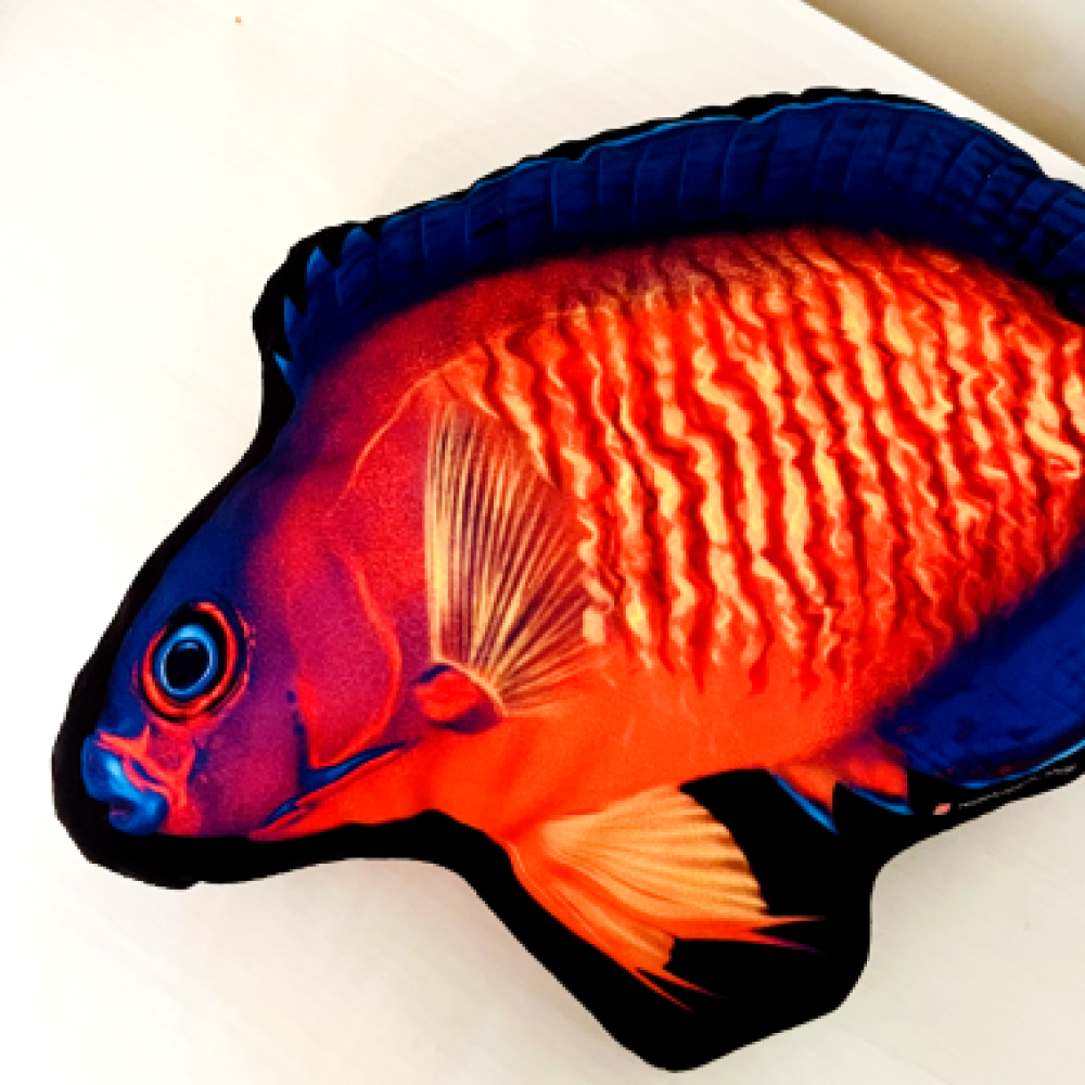 Coral Beauty Angelfish Pillow - Reef of Clowns LLC