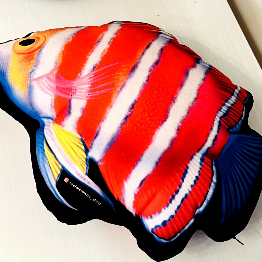 Peppermint Angelfish Pillow - Reef of Clowns LLC