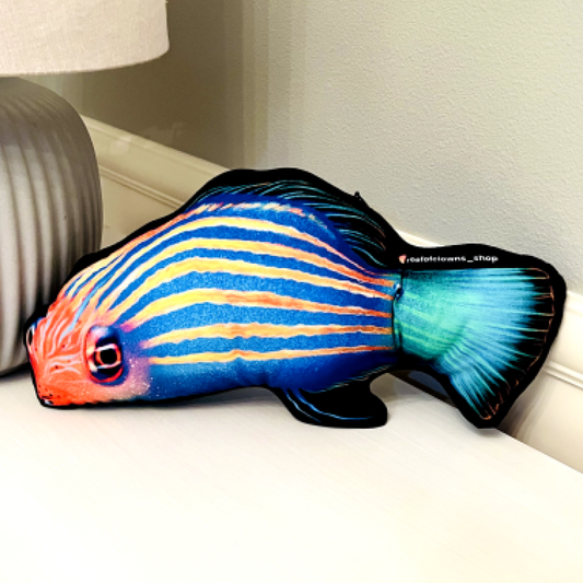 Sixline Wrasse Pillow - Reef of Clowns LLC