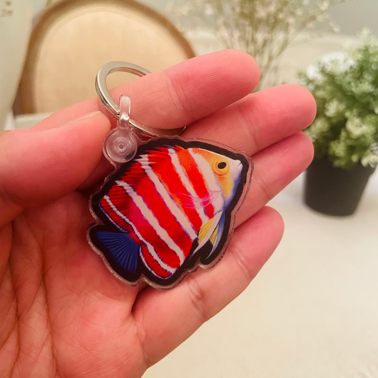 Peppermint Angelfish Keychain - Reef of Clowns LLC