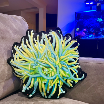 Holy Grail Torch Coral Pillow - Reef of Clowns