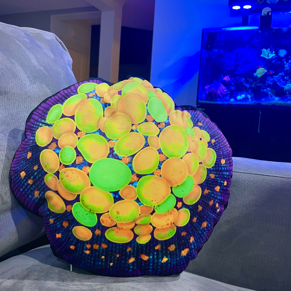 OG Bounce Mushroom Coral Pillow - Reef of Clowns