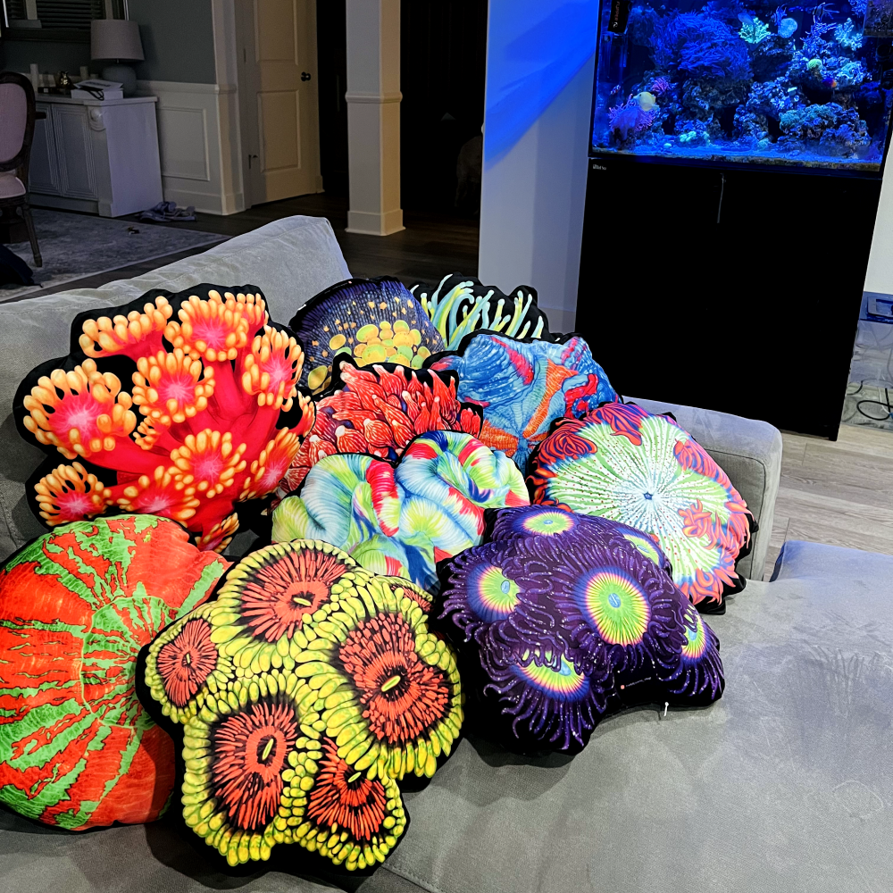 Red Rockflower Anemone Pillow - Reef of Clowns