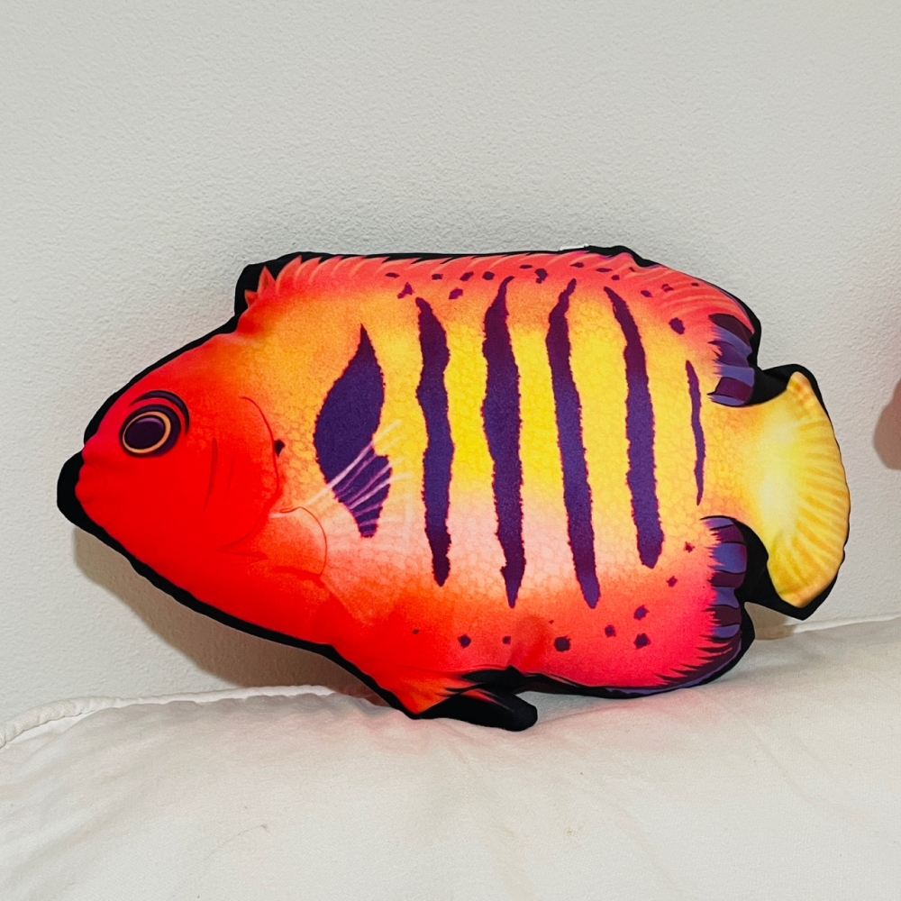 Flame Angelfish Pillow - Reef of Clowns