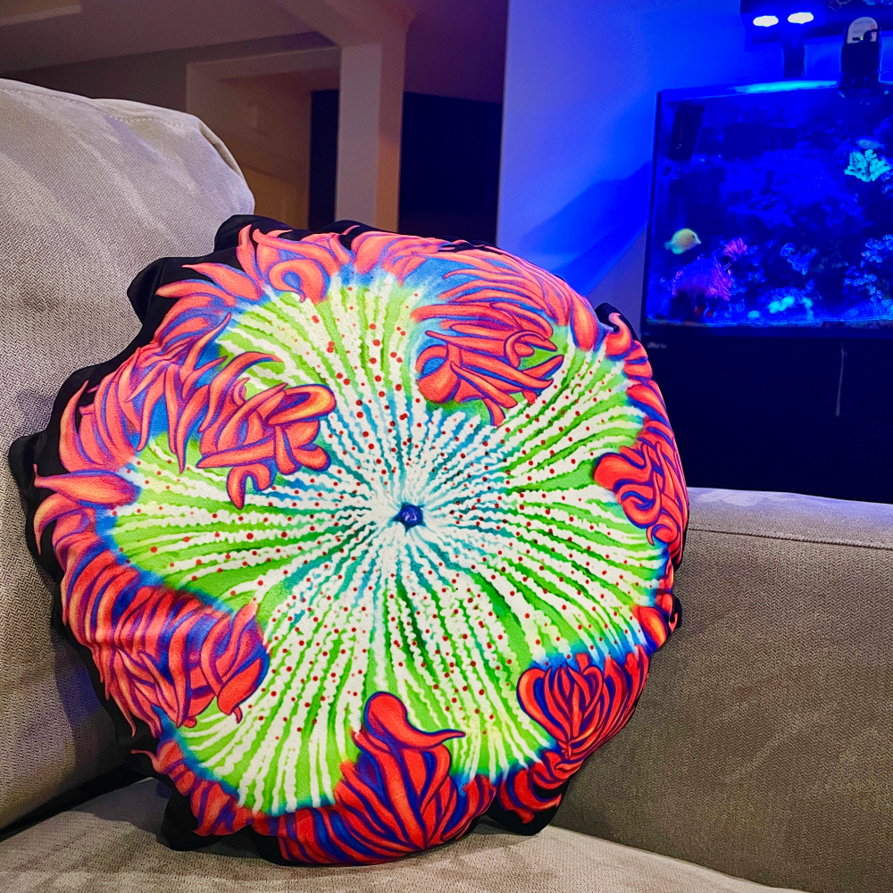 Red Rockflower Anemone Pillow - Reef of Clowns