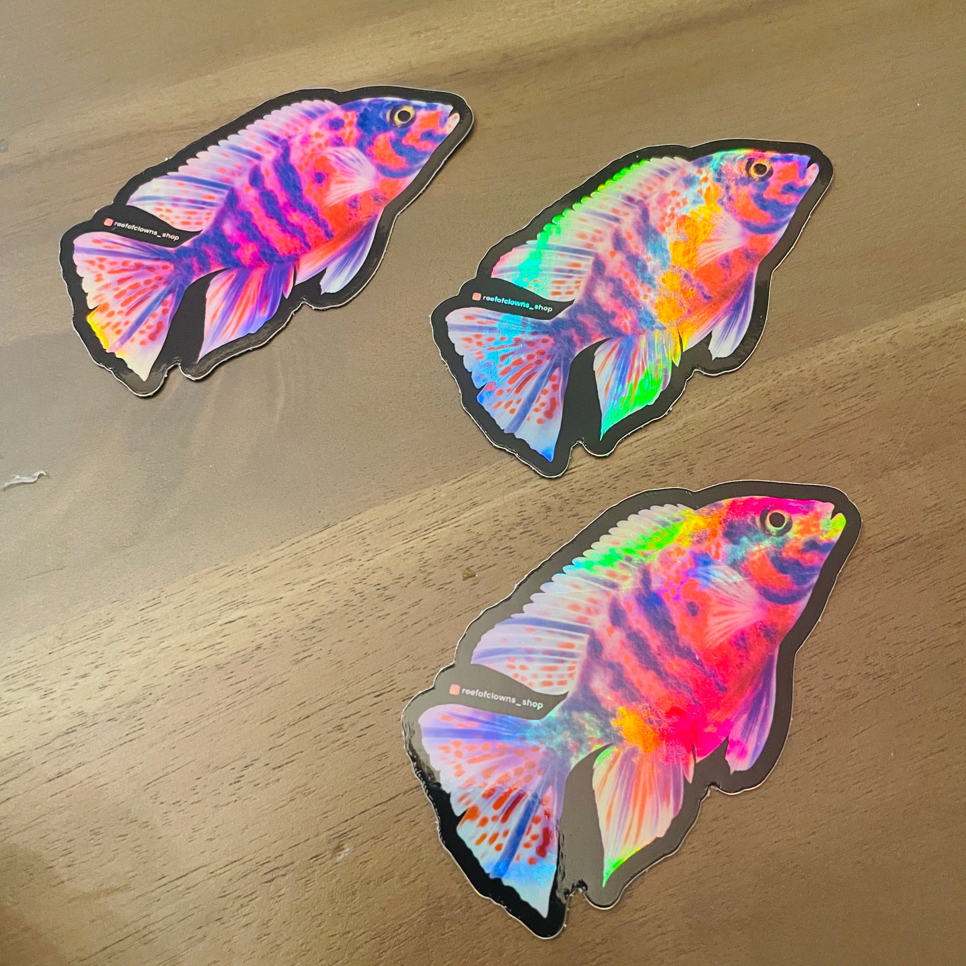 Peacock Cichlid Sticker (Holographic) - Reef of Clowns LLC