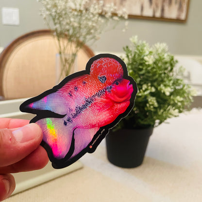 Red Dragon Flowerhorn Cichlid Sticker (Holographic) - Reef of Clowns LLC