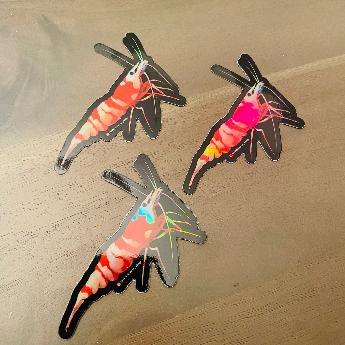 Cardinal Shrimp Sticker (Holographic) - Reef of Clowns LLC